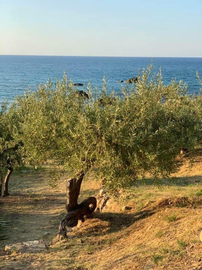 Ogliastro Sul Mare - Sleep And Dream Villa Чефалу Екстериор снимка